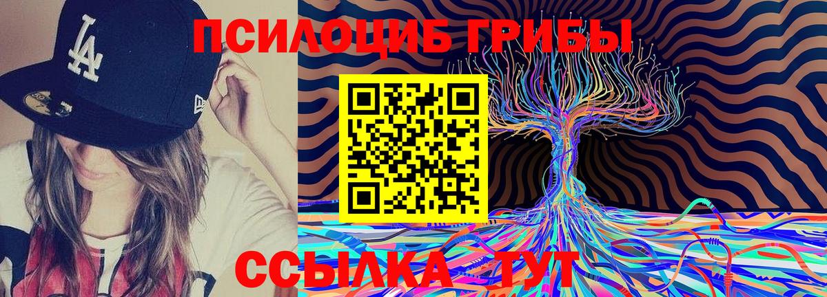 Псилоцибиновые грибы MAGIC MUSHROOMS Мурино